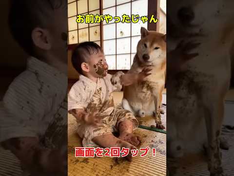 🐶わんちゃん：（ぼそっ）「君じゃない？」