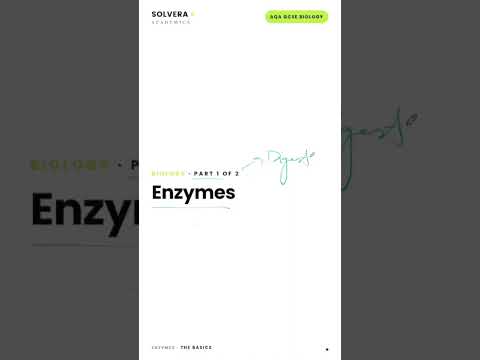 Enzymes and how they work thumbnail