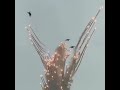 Pakistan Air Force Training