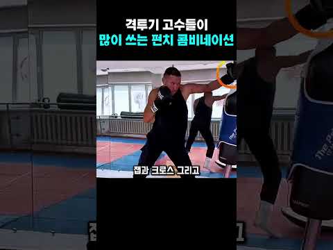 격투기 고수들이 실전에서 가장 많이 쓰는 펀치 콤비네이션이라는데