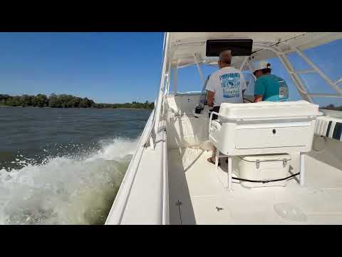 2000 Intrepid 366 Mac & Seas Video
