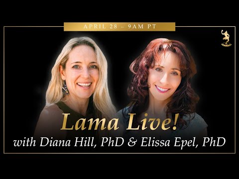 Lama Live! April 28, 2024 with Special Guests, Dr. Elissa Epel and Dr. Diana Hill