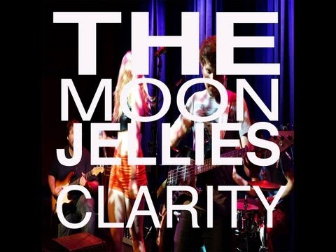 The Moon Jellies - Clarity by Zedd