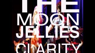 The Moon Jellies - Clarity by Zedd