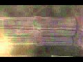 Chaos Break PS1 Trailer