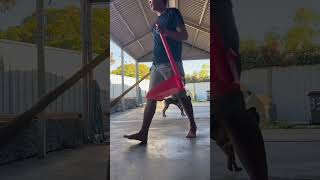 👍🏼🎅❤️cleaning for everything ,healthy and safe for Rusty!we make big places for him to run and play