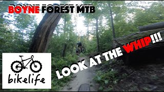 Boyne Forest MTB Trails