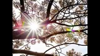 Quando o Sol bater na janela do teu quarto   Legião Urbana