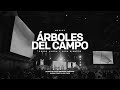 Medley Árboles De Campo Video Oficial