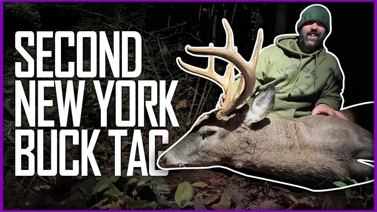 HUGE BODIED NEW YORK BUCK WITH A RECURVE | The Push Archery