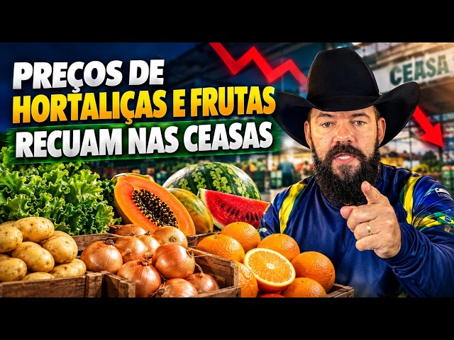 Preços de hortaliças e frutas recuam nas Ceasas.