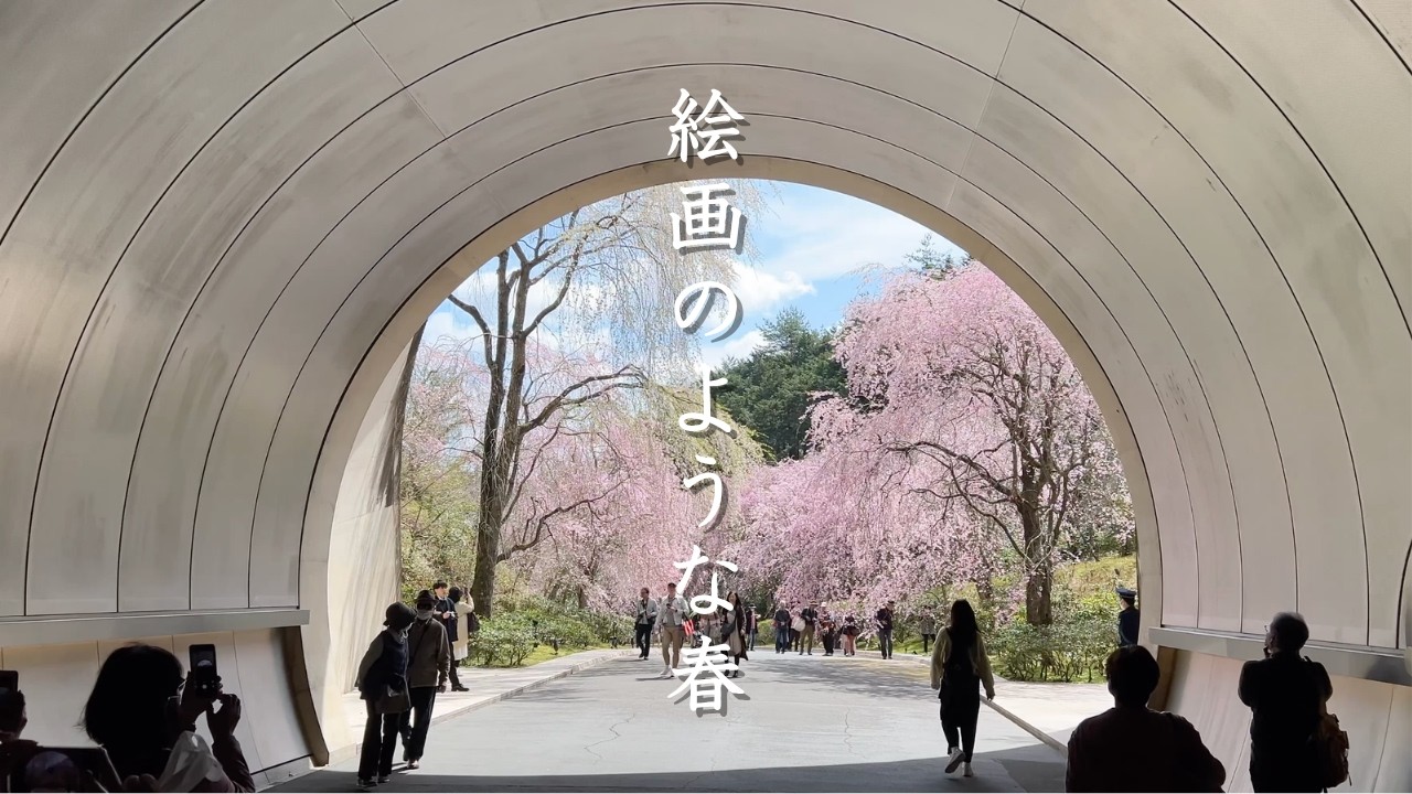 【異世界】まるで絵の中…春の絶景ドライブ4選｜桜と桃源郷（関西）