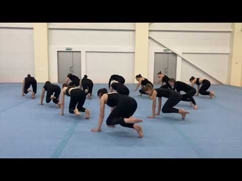 ANIMAL FLOW L1 series of classes. Final flow