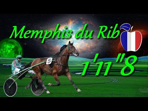 HOMMAGE A MEMPHIS DU RIB