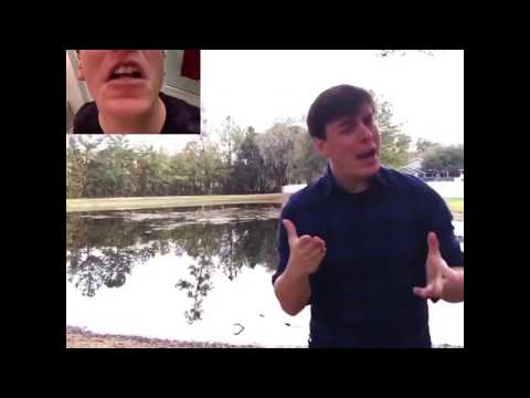 Violence Isn't the Answer (Original Vine)