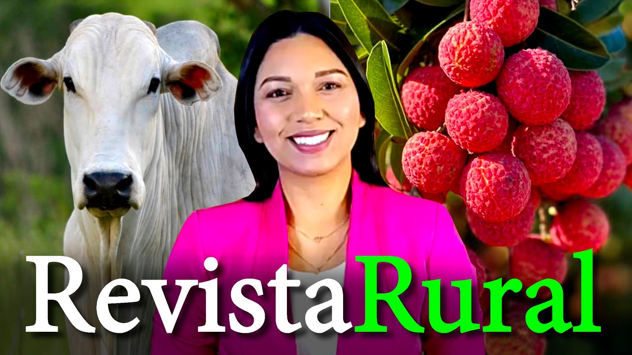 PROGRAMA REVISTA RURAL - 20/09/2026