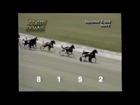 1996 Scioto Downs S F SATELLITE Jim Shelton