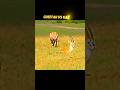 Cheetah Vs Gazelle Trending Shorts Shortvideo Short Youtubeshorts Cheetah Gazelle Wildlife