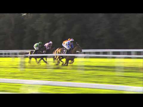 2014 JLT Long Walk Hurdle - Reve De Sivola - Racing TV