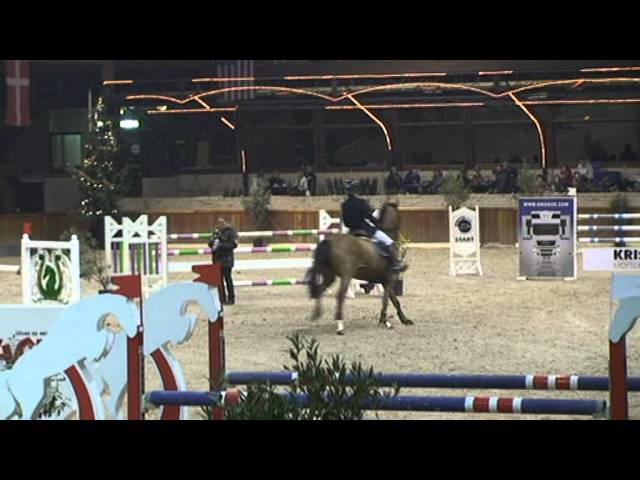 Mother Tordina is a CSI 1.55m jumping mare with rider Gianni Giovoni.