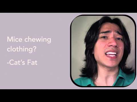 What did the ancient egyptians know about medicine?