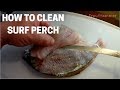 How to Clean and Filet Surf Perch