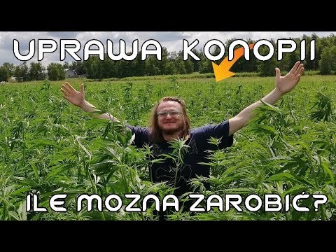 , title : 'Maciek i jego nietypowy biznes pod Wrocławiem... | Hi_5'