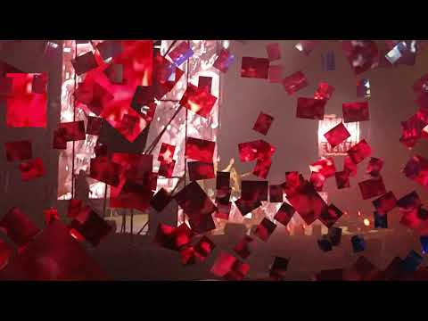 Dr PEACOCK Vs Bill X Vs Partyraiser - OPERATION CORE - 26.01.19