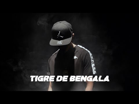 Cotto Rng - Tigre de Bengala (Official Video)
