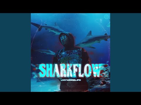 SHARKFLOW🦈