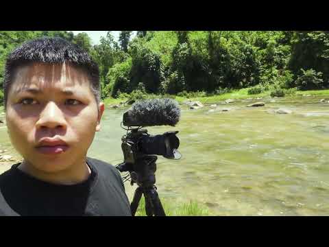 Behind the Scenes: Soothing Sound of a Flowing Stream – Nature's Healing Space