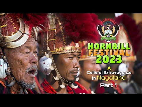 HORNBILL FESTIVAL 2023 - A Cultural Extravaganza in Nagaland | PART 1