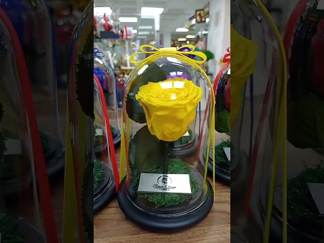 Vídeo relacionado con Rosa Eterna,Flores Preservada ,Rosa Real Forever Bloom,Natural Regalo Rosas Romántico Con Mujer Día Madre San Valentín Navidad Compromiso Matrimonio Aniversario Cumpleaños Acción De Gracias Nochebuena