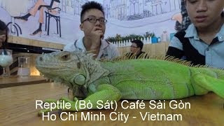 preview picture of video 'Reptile Bò Sát Café Sài Gòn - Ho Chi Minh City Vietnam'