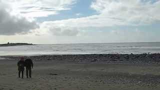 Llandanwg Beach Harlech Shell Island Llyn Gwynedd Wales UK