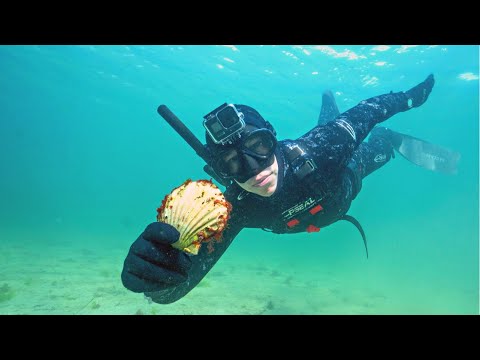 Scallop Diving in Scotland - Amazing Garlic Scallops catch and cook on the Firepit