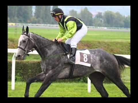 Žokej Radek Koplík