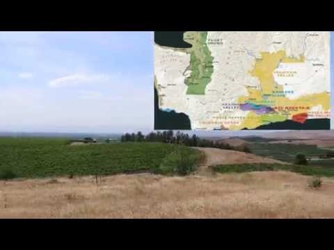 A Look at the Washington Cabernet and Mourvedre Vineyard