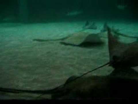 Baltimore Trip  Anubha Sinha