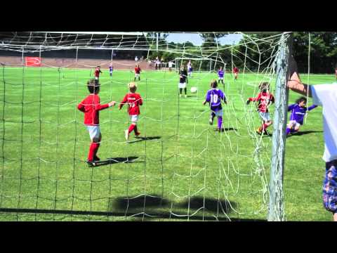 Saestum   Zeist Fjes