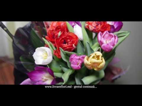 Livrare Flori la Siscani Afumati!  38272