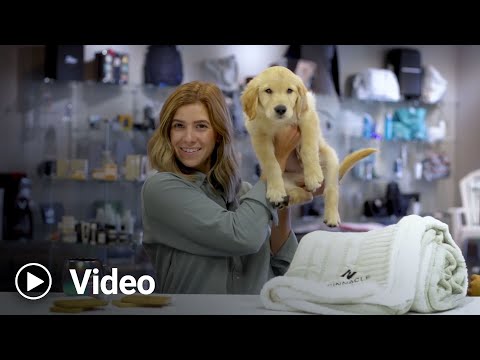 Sarah Selects: Holiday Gifts