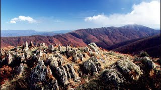 Dreamtime 7 - Australian & Celtic