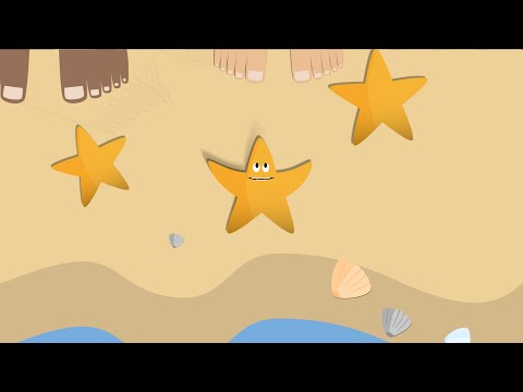 The Parable of The Starfish - Food For The Poor