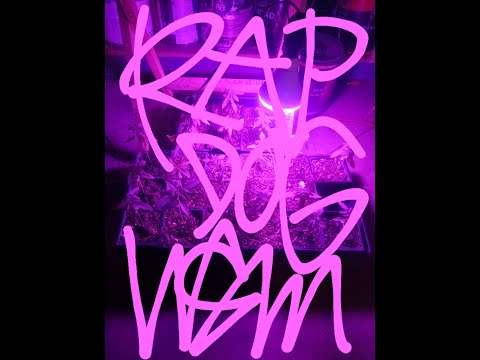 RapdogCali209- Vietnam Freestyle