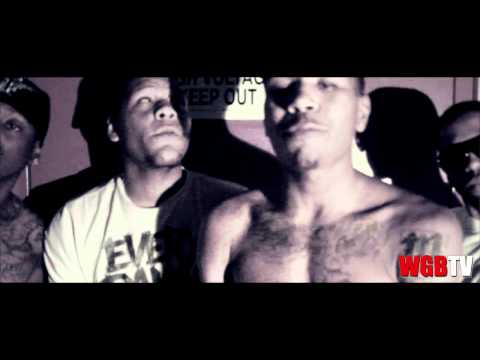 Young Anthems"Stupid Fruity Loud Pack"