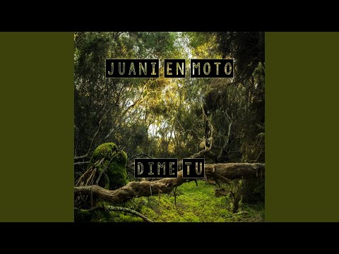 Dime tu video
