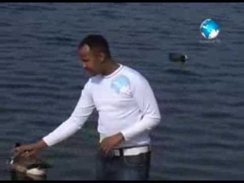 FUAD CUMAR DUN XARIIRA