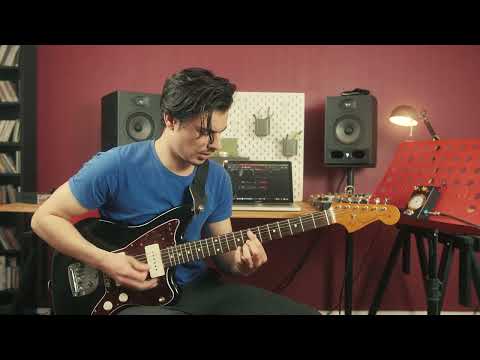 Immagine Squeeze Cat – Ross Style Analog Compressor Pedal – Handbuilt in France | Stomp Cats - 6