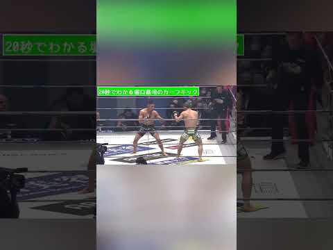 本当、堀口恭司はカーフキックやめろ強すぎる笑